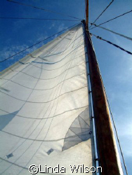 Sailing away......... by Linda Wilson 